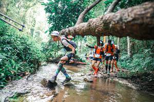 BIB: 
                            <button type="button" onclick="openModal(25375346)" class="btn btn-primary btn-sm float-right btn-popup" data-toggle="modal" data-target=".modal-high-quality">
                        <i class="fas fa-shopping-cart"></i> Add to Cart
                    </button>
                                            <button type="button" onclick="isThisMe(25375346, true)" class="btn btn-success btn-sm float-right btn-popup btn-isme hidden" data-toggle="tooltip" data-placement="bottom" title="นี่คือรูปของคุณใช่ไหม คลิกที่นี่เพื่อเอาเข้าอัลบั้ม">
                        <i class="fas fa-plus"></i> Add to album
                    </button>
                    <button type="button" onclick="isThisMe(25375346, false)" class="btn btn-warning btn-sm float-right btn-popup btn-isnotme hidden">
                        <i class="fas fa-ban"></i> Remove from album
                    </button>